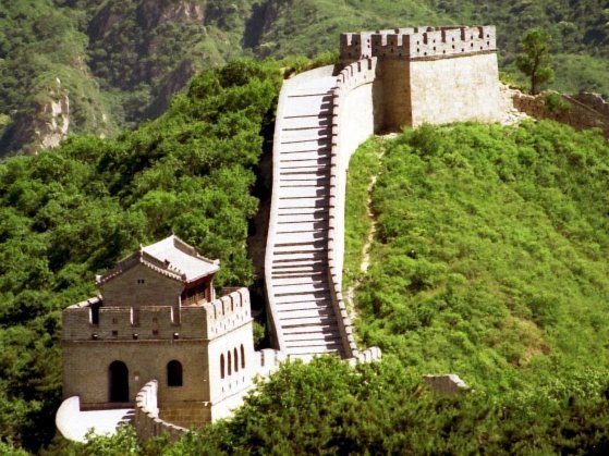 董路统管青训可行吗？