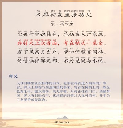 高天意只是比依木兰老，未见得比依木兰强