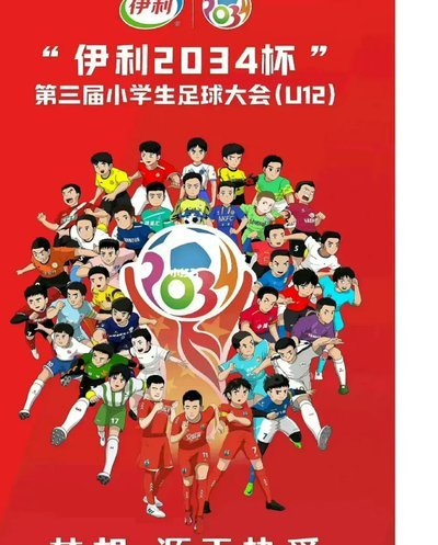 不要问嗨球为什么不参加2034杯