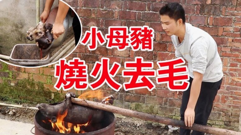 世界杯的梦想与落空：一位母亲的足球之旅