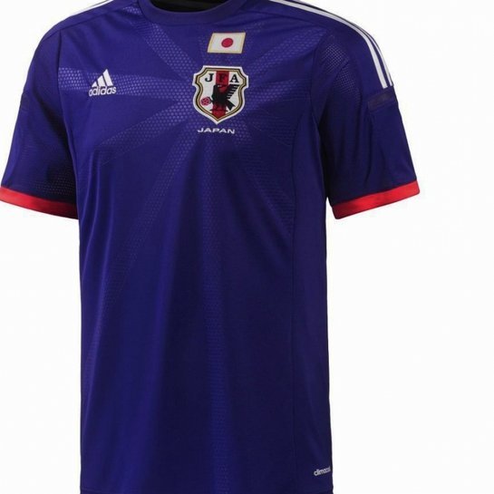 关于日本国家队球衣在申花球迷当中的耐受度